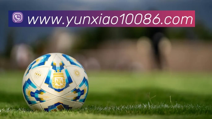 云霄体育平台生态图